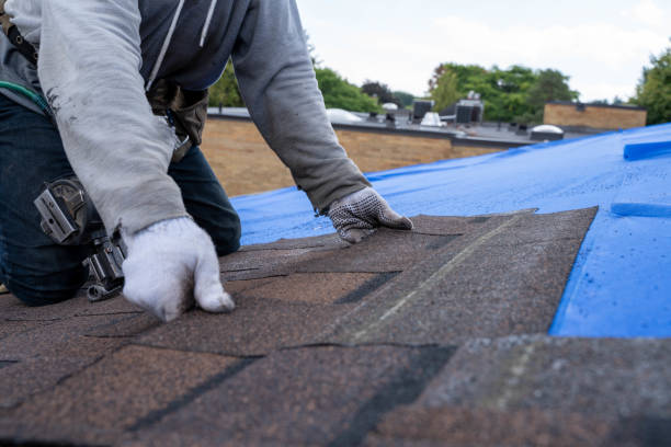 Best Storm Damage Roof Repair  in Dover, AR