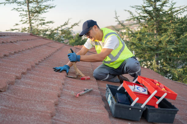 Best Storm Damage Roof Repair  in Dover, AR