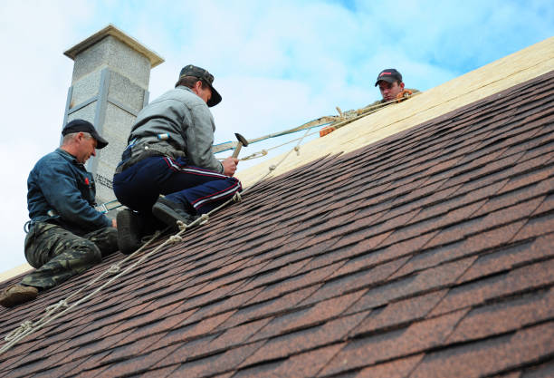 Professional Roofing Contractor in Dover, AR